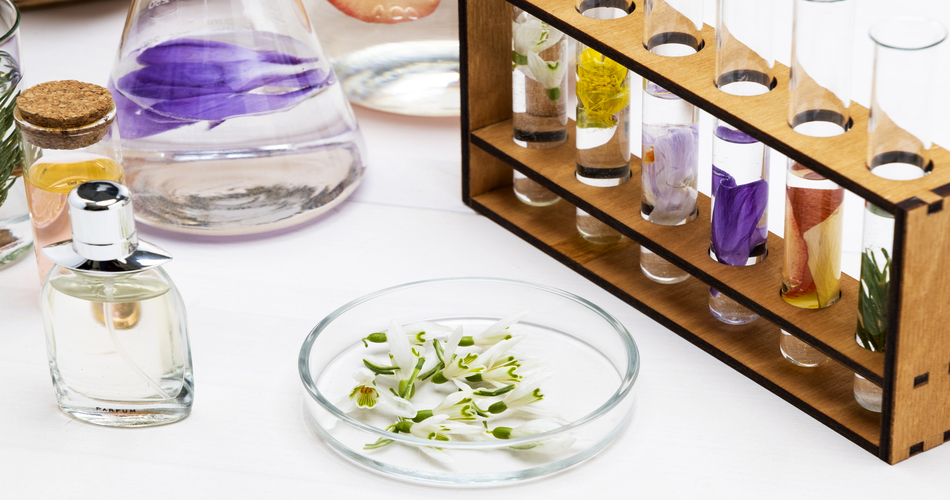 Essential Oils: The Aroma That Unites Different Parts of the World