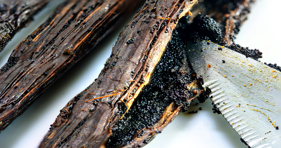 Vanilla: A Glimpse into Indonesia's Fragrant Treasure