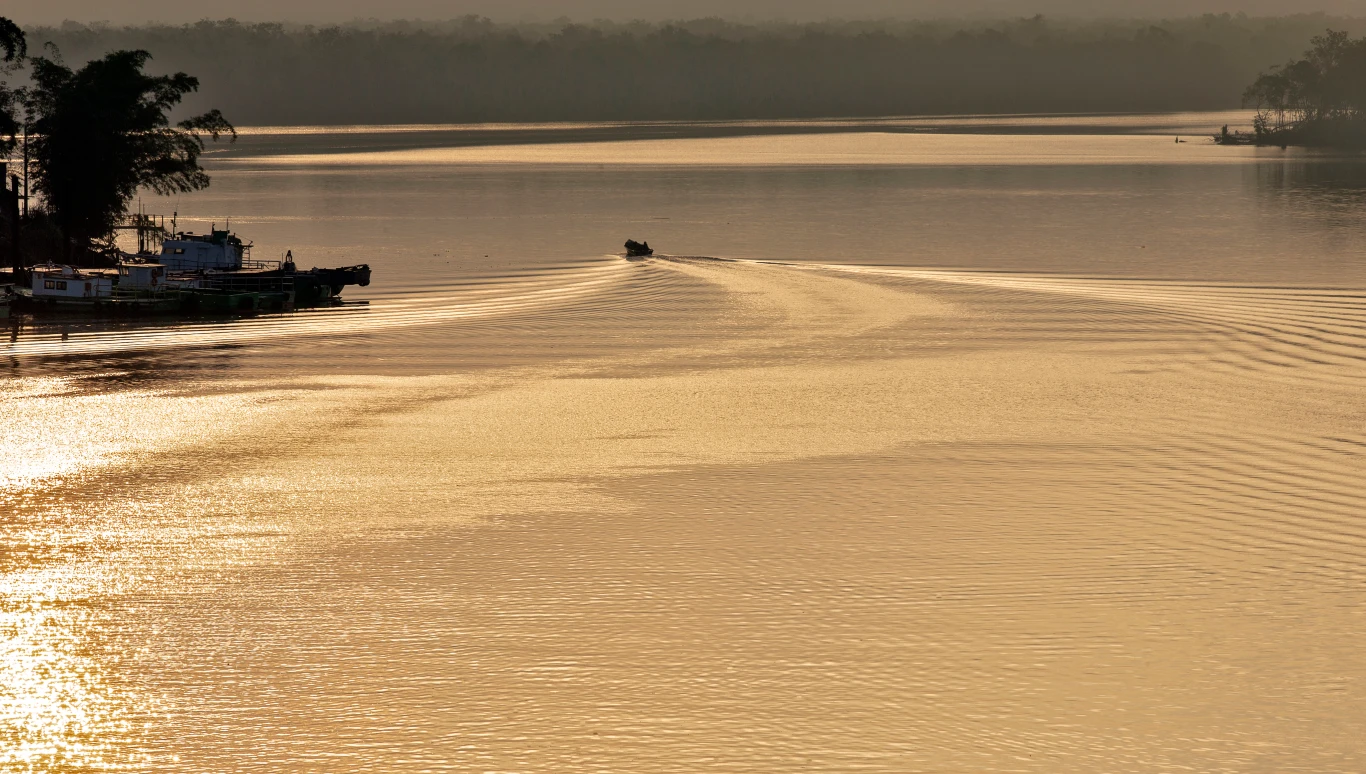 The Source of Comfort