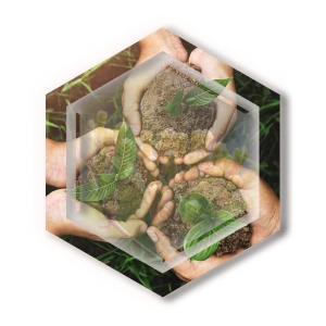 Empowering Local Farmers